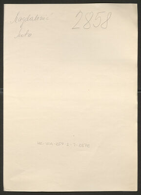 Magdalenić, Mato, 24.4.1910. Policijski karton