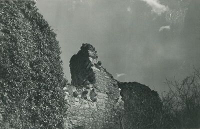 Vinica Breg (Vinica) - ruševine srednjovjekovnog grada