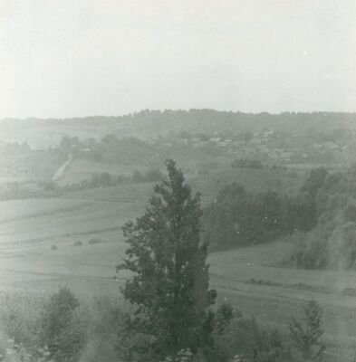 Vukomerić - Panorama