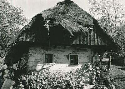 Sršići (Ozalj) - Tradicijska kuća, zabatno pročelje