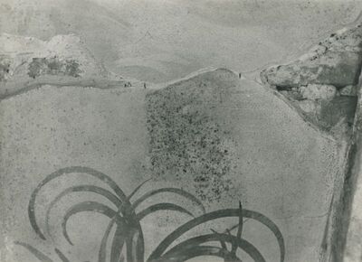 Lepoglava - Bivša pavlinska crkva sv. Marije, svetište, svod, detalj oštećene slikane površine