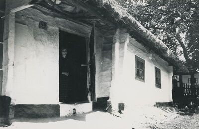 Dubravica - Tradicijska kuća, dio ulaznog pročelja