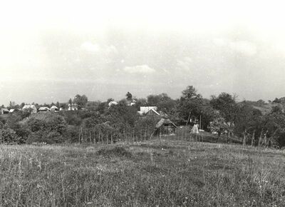 Martinski Vrh (Ribnik) - Panorama