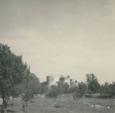 Bisag - dvor Draškovića, pročelje