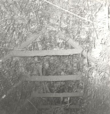 Ščitarjevo - Tradicijska kuća, unutrašnjost krovišta