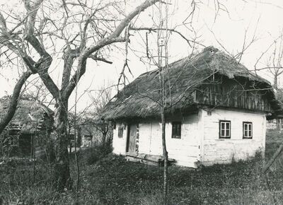Žakanje (Podvorci) -Tradicijska kuća, ulazno i zabatno pročelje