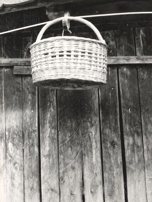 Drenje Šćitarjevsko - Košara