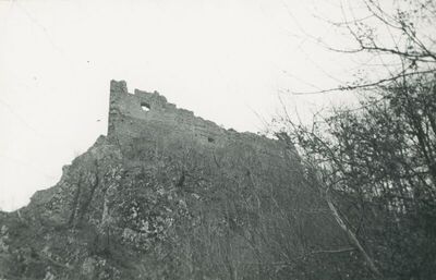 Belec (Zlatar) - Stari grad