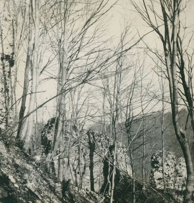 Zelingrad - Stari grad Zelingrad, istočne obrambene zidine