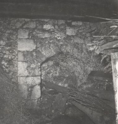 Ribnik - Stari grad, niša puškarnice