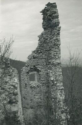 Belec (Zlatar) - Stari grad