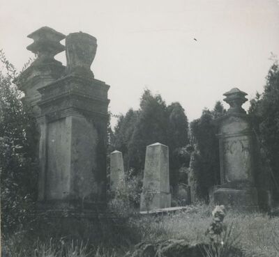 Varaždin - Židovsko groblje, nadgrobni spomenici