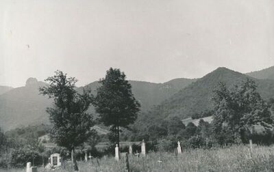 Vitunj (Ogulin) - Pogled s groblja