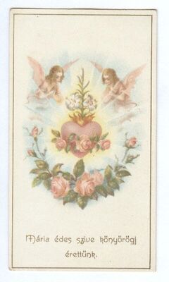 Presveto Srce Marijino