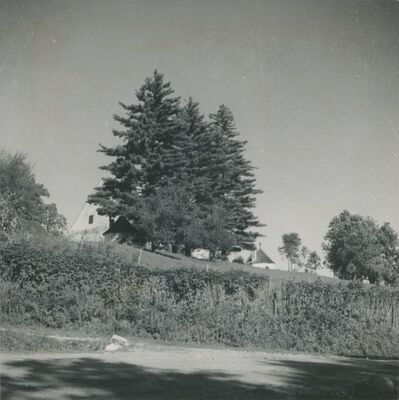 Bela (Novi Marof) - dvor I