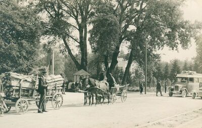 Zagreb (Maksimirska cesta) - Mitnica