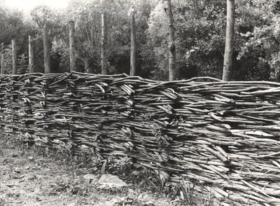 Drenje Šćitarjevsko - Ograda