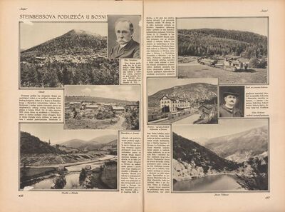 Steinbeissova poduzeća u Bosni