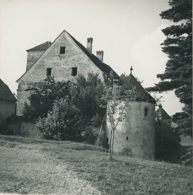 Bela (Novi Marof) - dvor