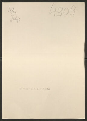 Šefer, Julije, 28.8.1906. Policijski karton