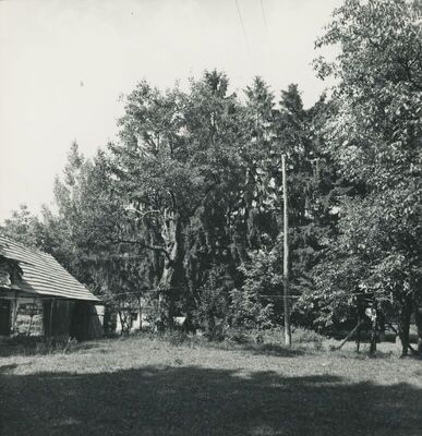 Donja Batina (Zlatar) - Dvorac Kalay, detalj kompleksa