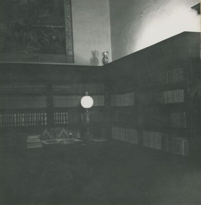 Trakošćan - biblioteka