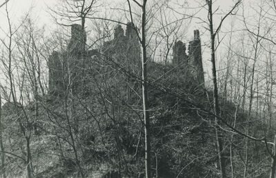 Vojnovec Loborski (Lobor) - Burg, ruševina