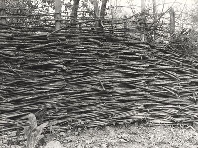 Drenje Šćitarjevsko - Ograda