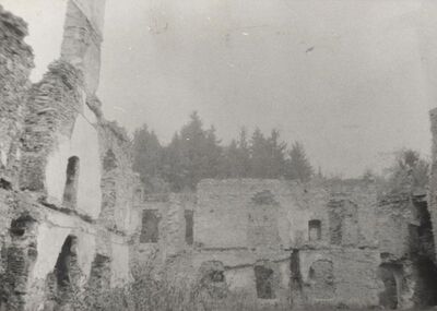 Novigrad na Dobri - Grad Frankopana