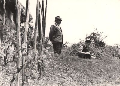 Kostanjevac - Konzervatori na terenu