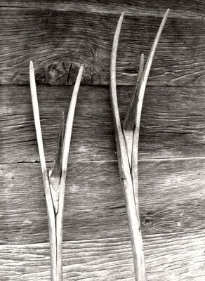 Lukinić Brdo - "Roglje"