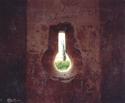 Lukavec - Stari grad Lukavec, puškarnica