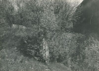 Krapina - Stari grad, zidine
