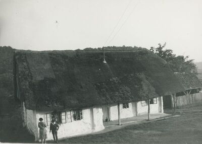 Desinić - Brvnara, vanjština