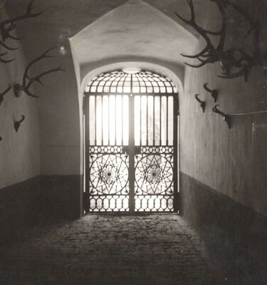 Januševec - Dvorac Januševec, željezna vrata podruma