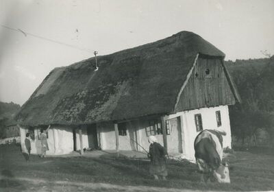 Desinić - Brvnara, vanjština