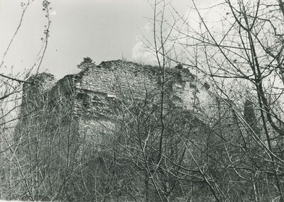 Vinica Breg (Vinica) - ruševine srednjovjekovnog grada