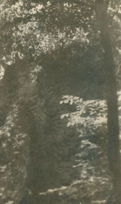 Zelingrad - Stari grad Zelingrad, dio obraslih zidina