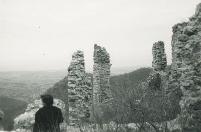 Belec (Zlatar) - Stari grad