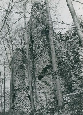 Zelingrad - Stari grad Zelingrad, južne zidine