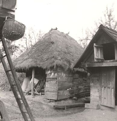 Gustelnica - Gospodarska zgrada