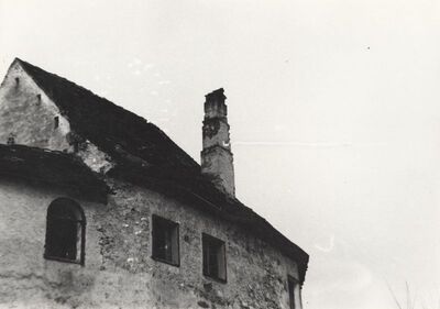 Ribnik - Stari grad, detalj krovišta