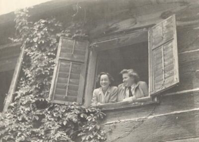 Donja Lomnica - Kurija Bedeković, prozor