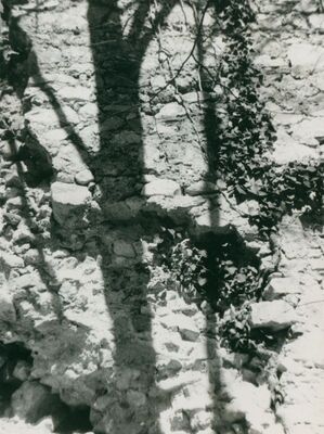 Zelingrad - Stari grad Zelingrad, južni zid stambene kule