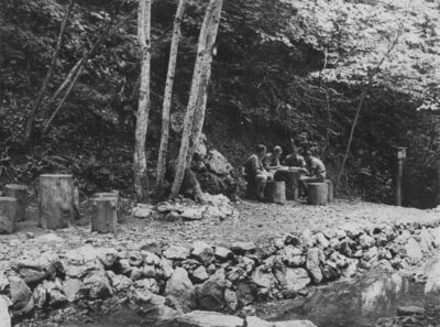 Medvednica - Kon Tiki