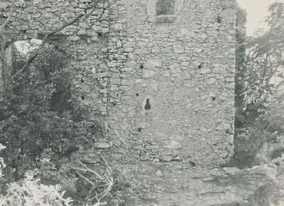 Grtovec (Budinščina) - Srednjovjekovni grad Milengrad