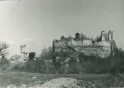 Vinica Breg (Vinica) - ruševine srednjovjekovnog grada