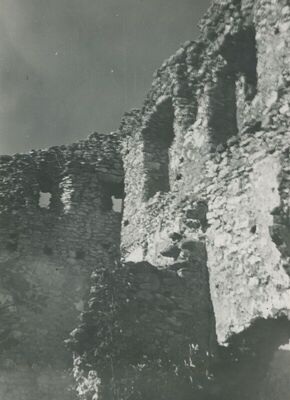 Grtovec (Budinščina) - Stari grad Milengrad