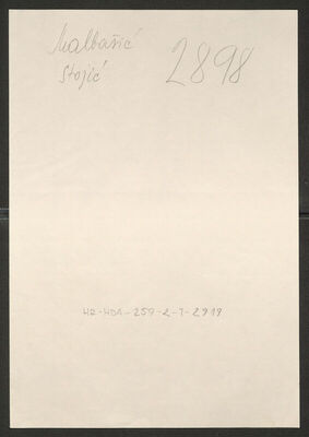 Malbašić, Stojić, 1913. Policijski karton