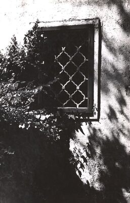 Slavetić - Dvorac Oršić, prozor